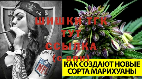 гашик Аркадак