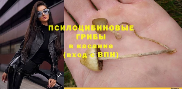 трава Армянск