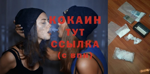 гашик Аркадак