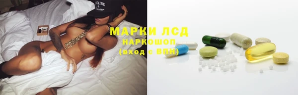 гашик Аркадак