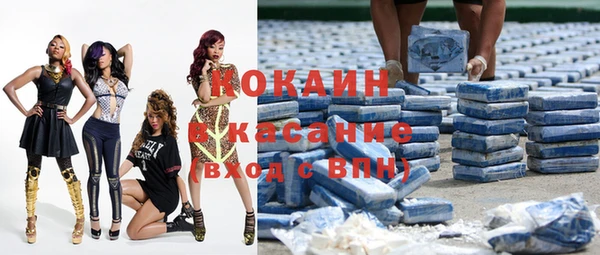 гашик Аркадак