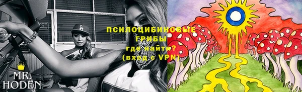 бутират Арсеньев