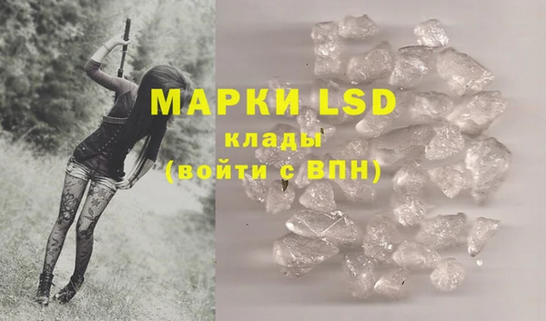 гашик Аркадак