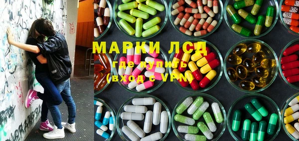 гашик Аркадак